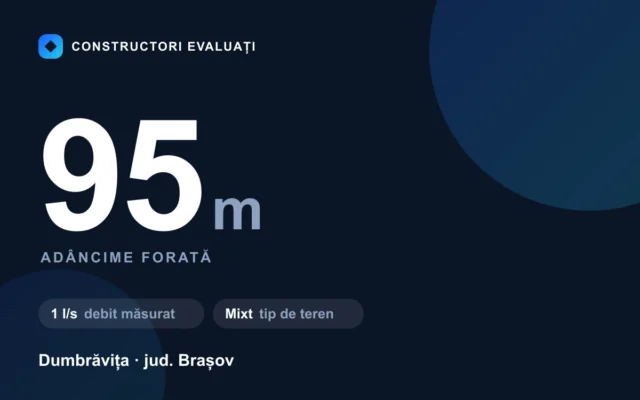 Foraj puț 95 m la Dumbrăvița — debit măsurat 1 l/s, teren mixt